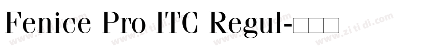 Fenice Pro ITC Regul字体转换 Fenice Pro ITC Regul字体转换